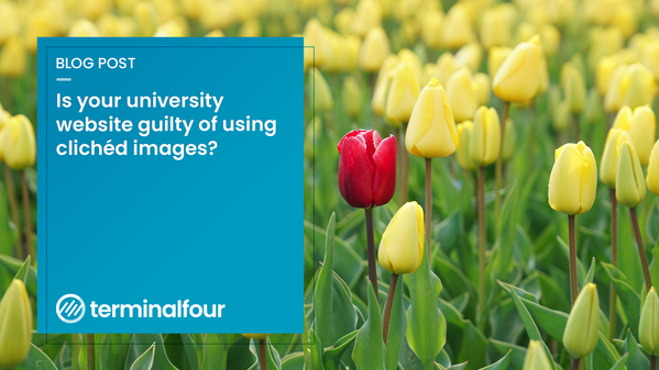 3 of the most overused images on university websites